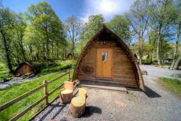 Dog friendly camping pods within a woodland setting Dog friendly camping pods within a woodland setting