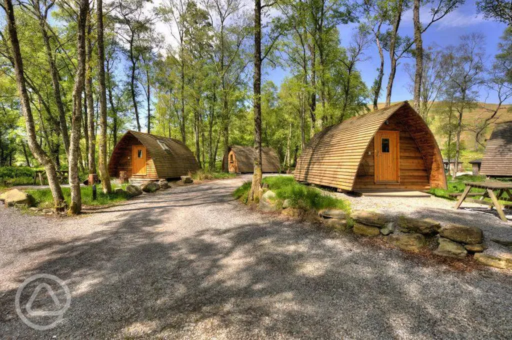 Dog friendly camping pods within a woodland setting Dog friendly camping pods within a woodland setting