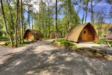Dog friendly camping pods within a woodland setting Dog friendly camping pods within a woodland setting