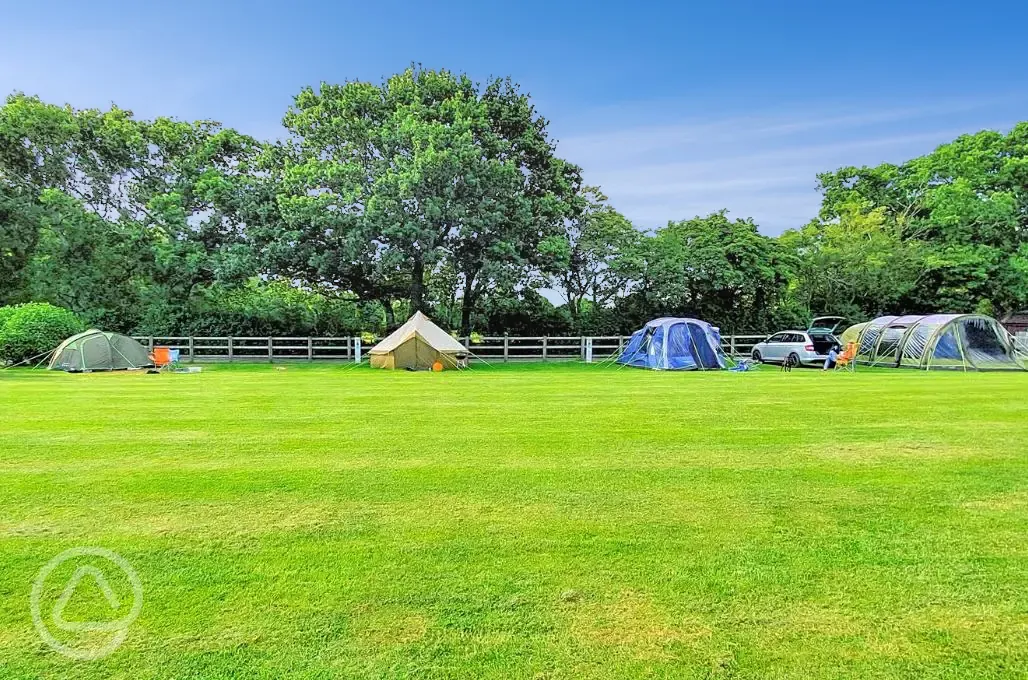 Non electric grass pitches