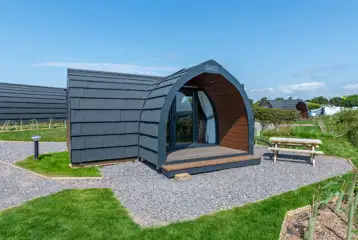 Gold glamping pods