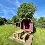 Wooden colourful camping pods with outdoor decks and picnic benches Wooden colourful camping pods with outdoor decks and picnic benches