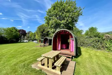 Wooden colourful camping pods with outdoor decks and picnic benches