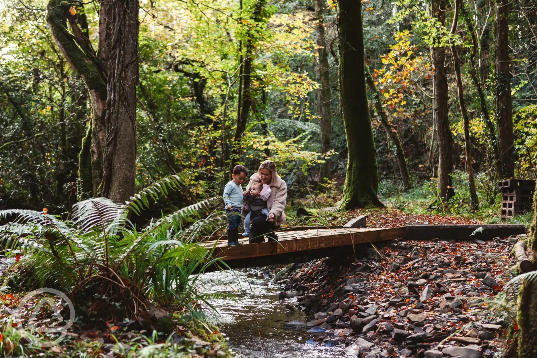 Forest walks