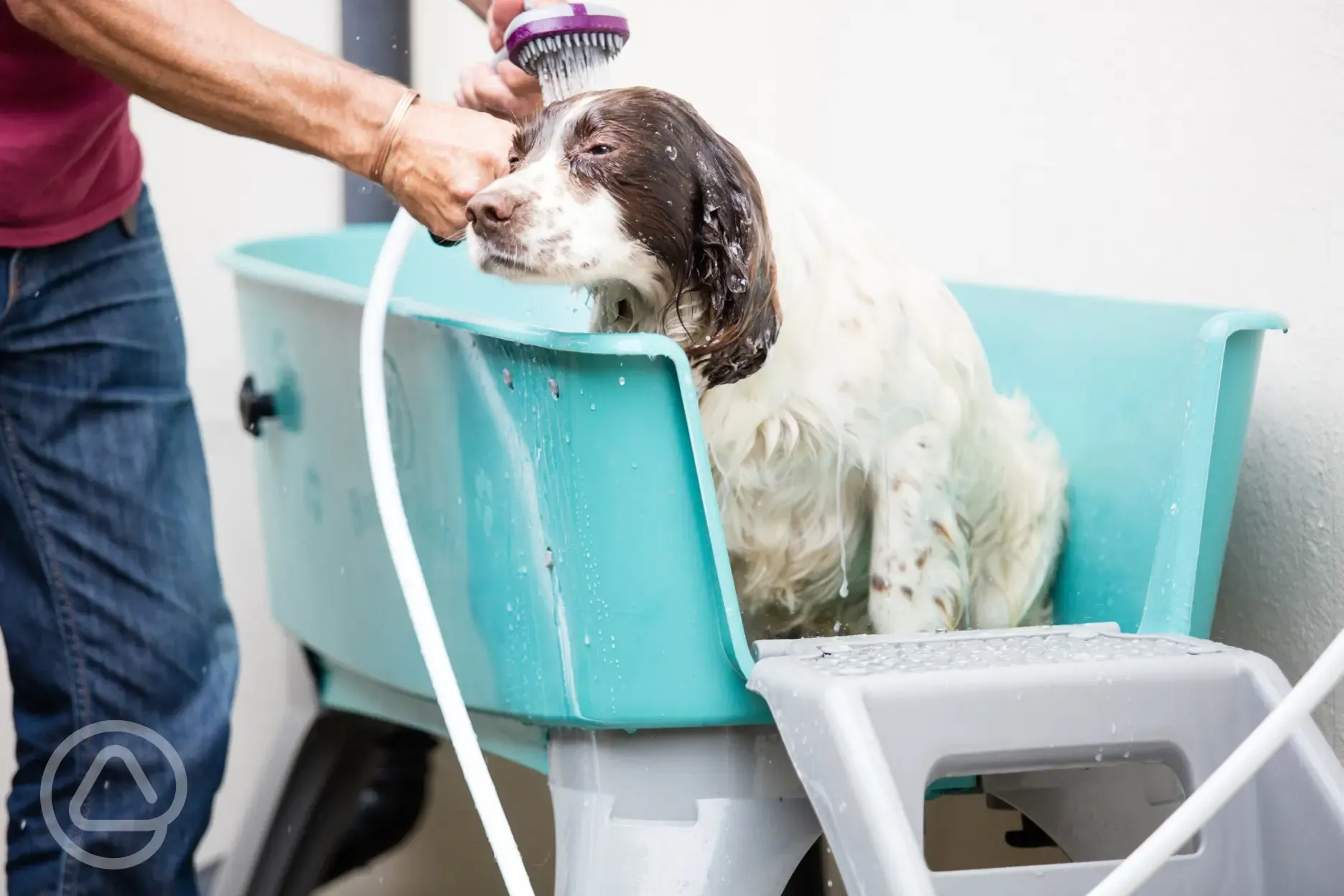 Doggy wash