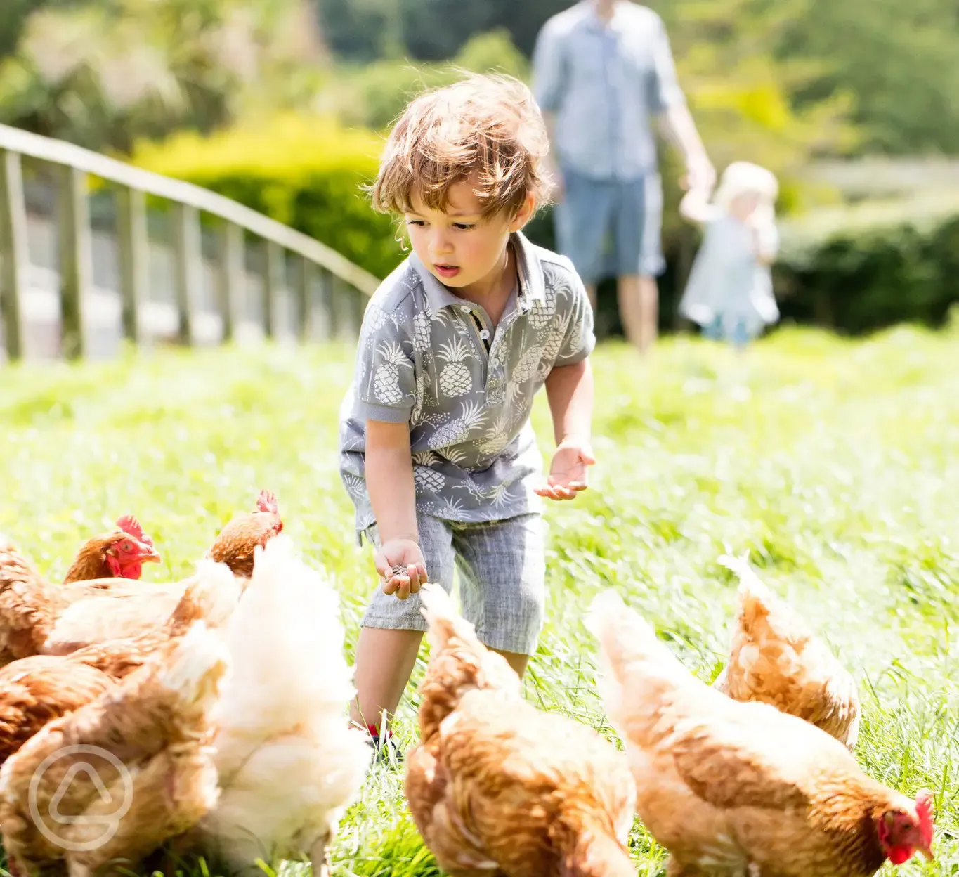 Farm animals