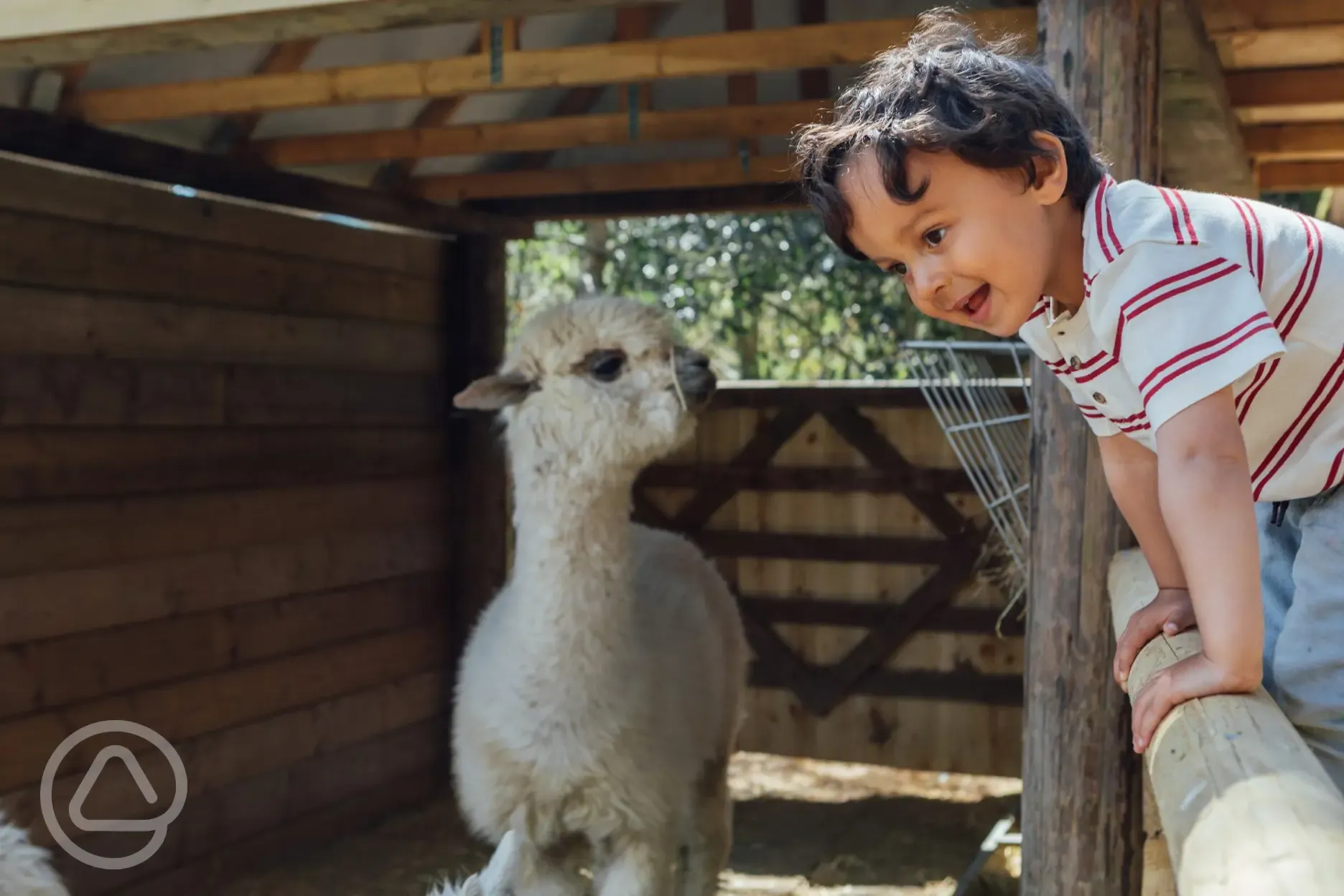 Farm animals