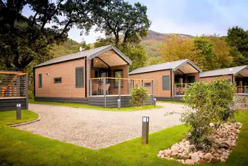 Forest glamping pods Forest glamping pods