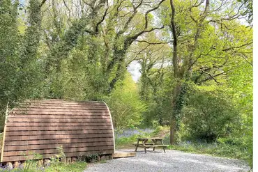 Wooden camping pod set in the woodland area
