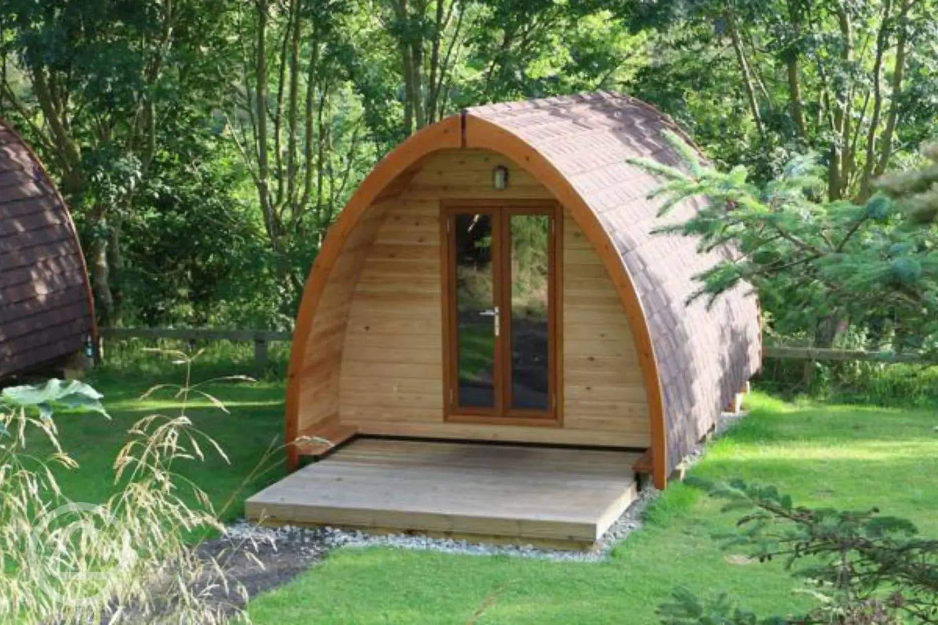 Camping pods surrounded by woodland