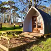Wooden camping pods with a private picnic bench Wooden camping pods with a private picnic bench
