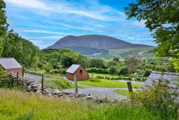 Pods and campsite views