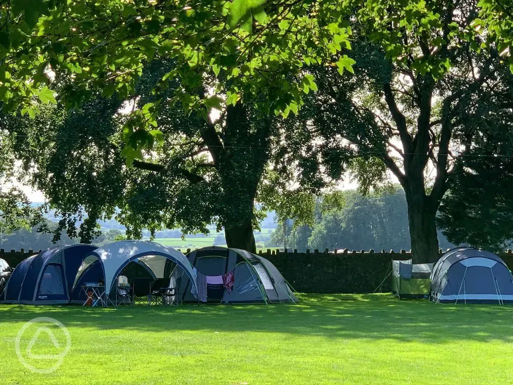 Non electric grass pitches