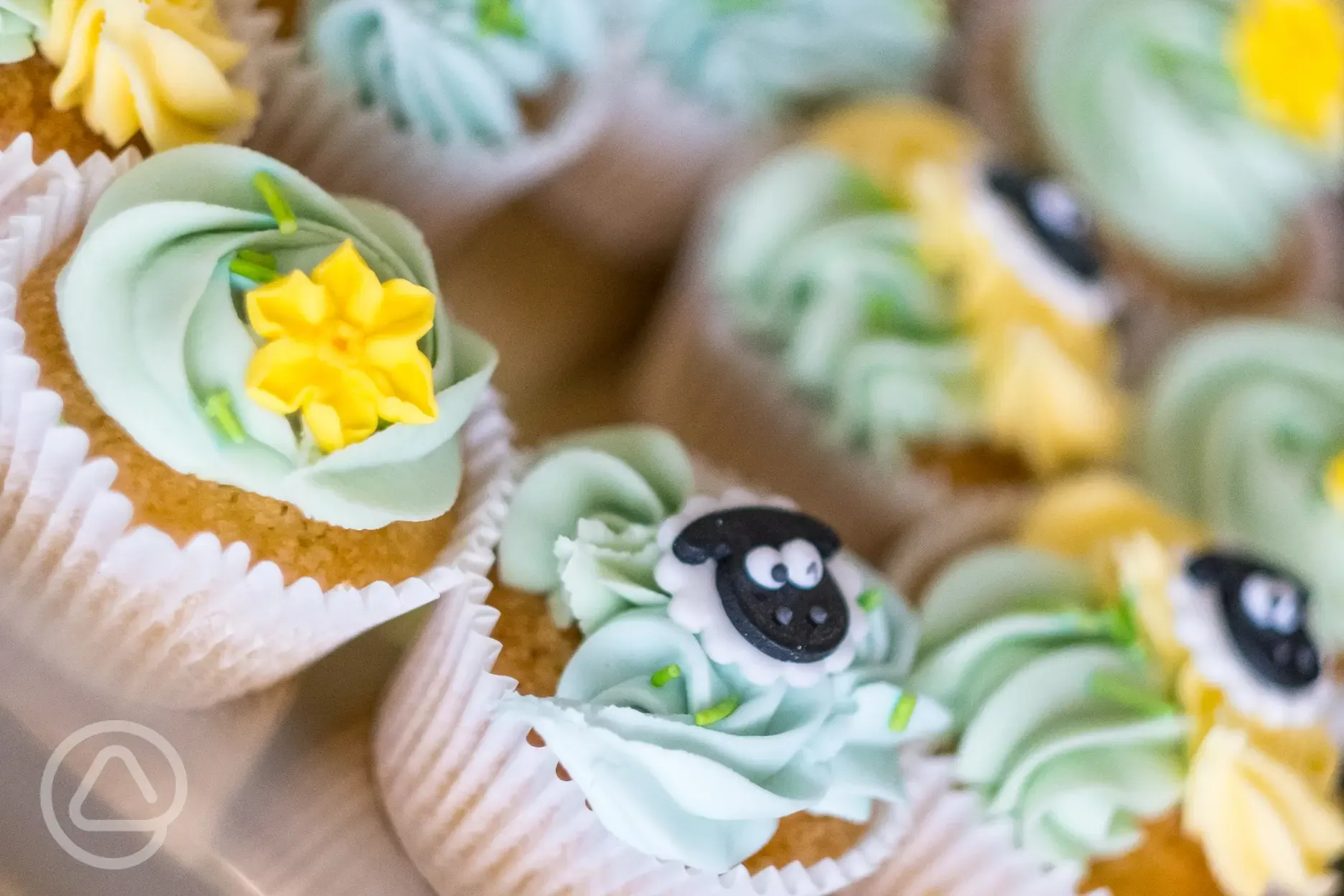 Cakes from the onsite cafe