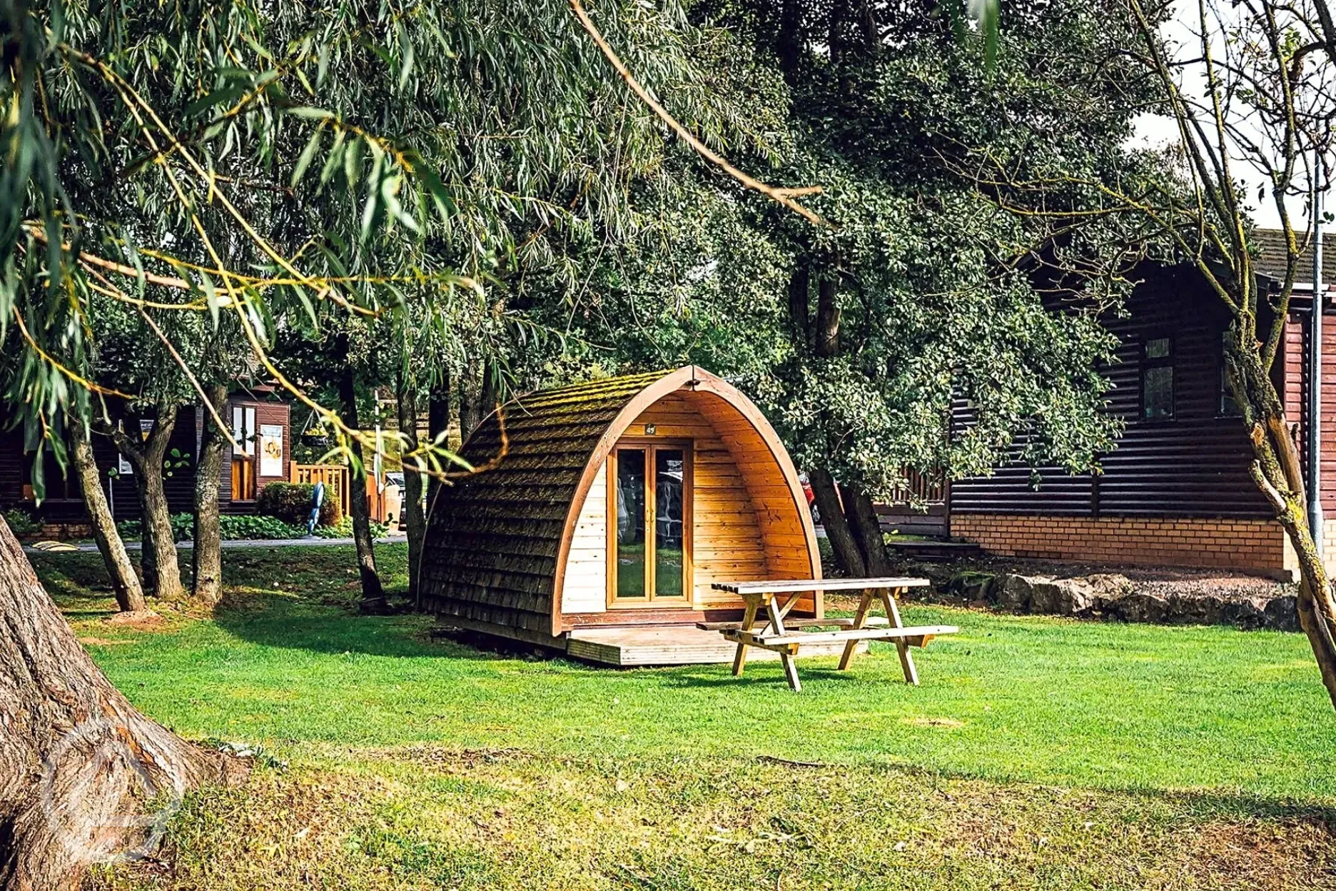 Camping pods surrounded by trees
