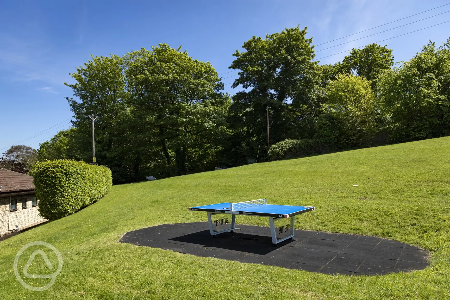 Table tennis