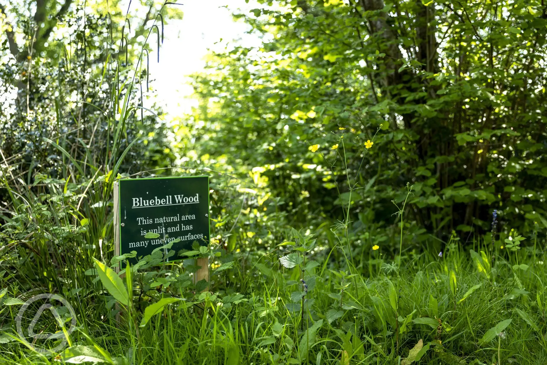 Woodland walks
