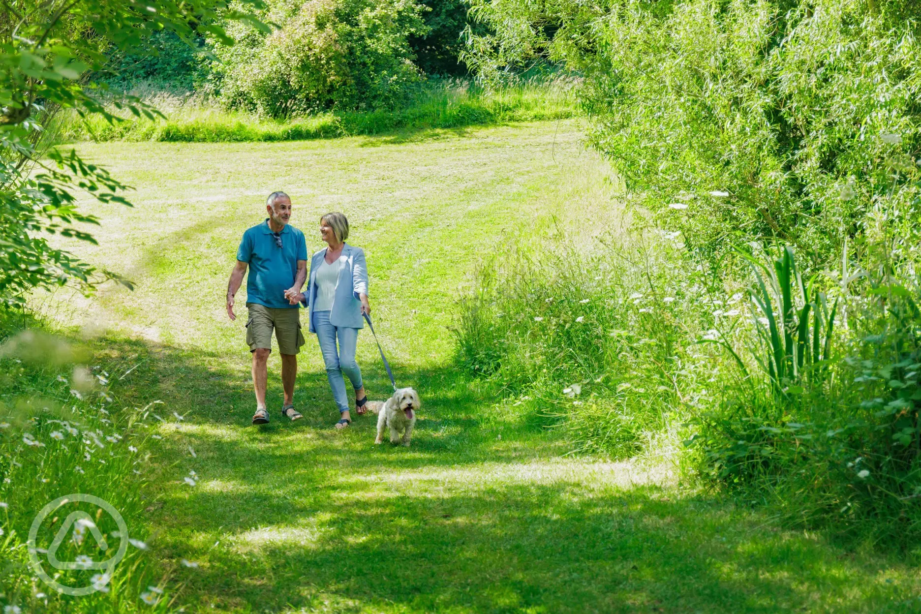 Dog walking area