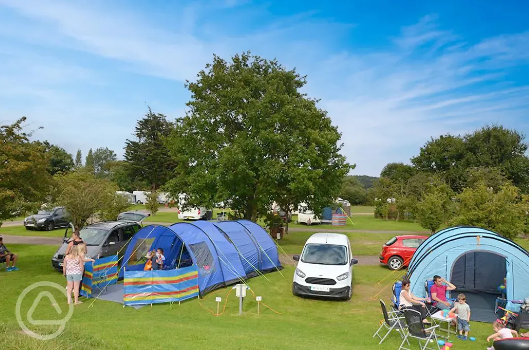 Tents on electric grass pitches with space to park vehicles
