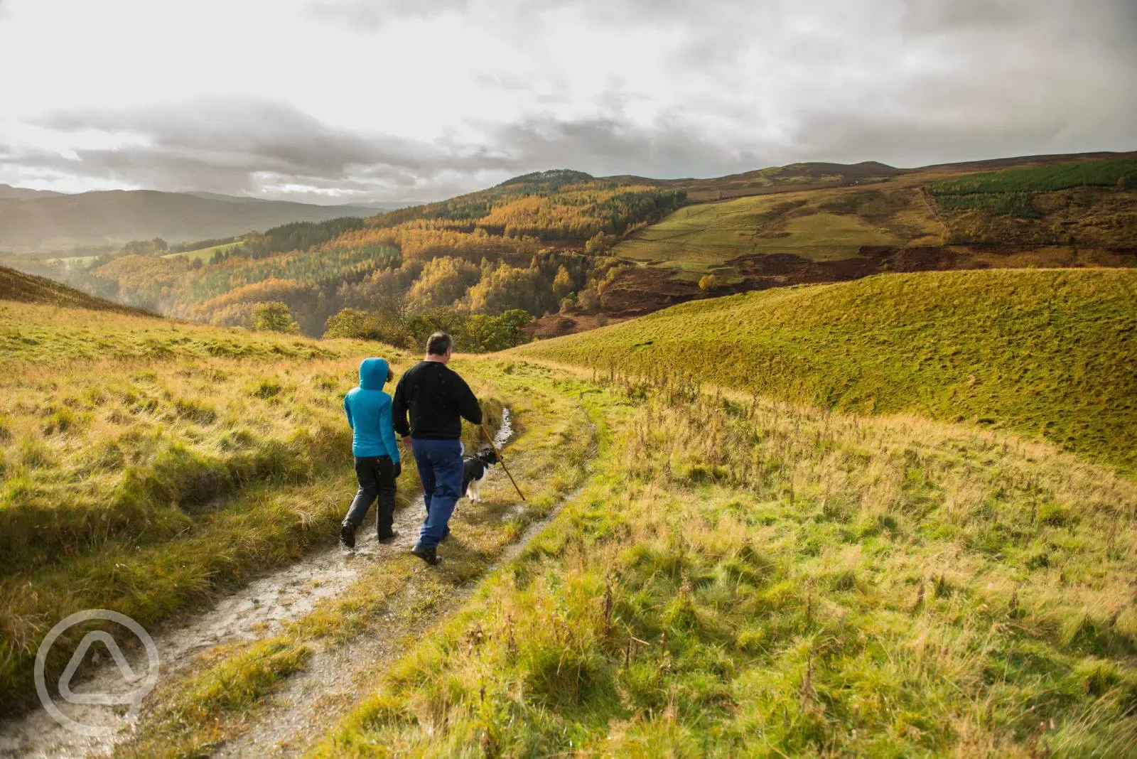 Local walks