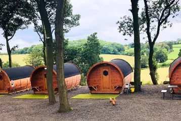 Barrell camping pods Barrell camping pods