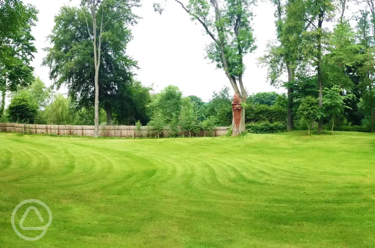 Grass pitches