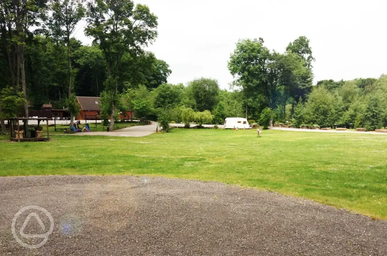 Grass pitches