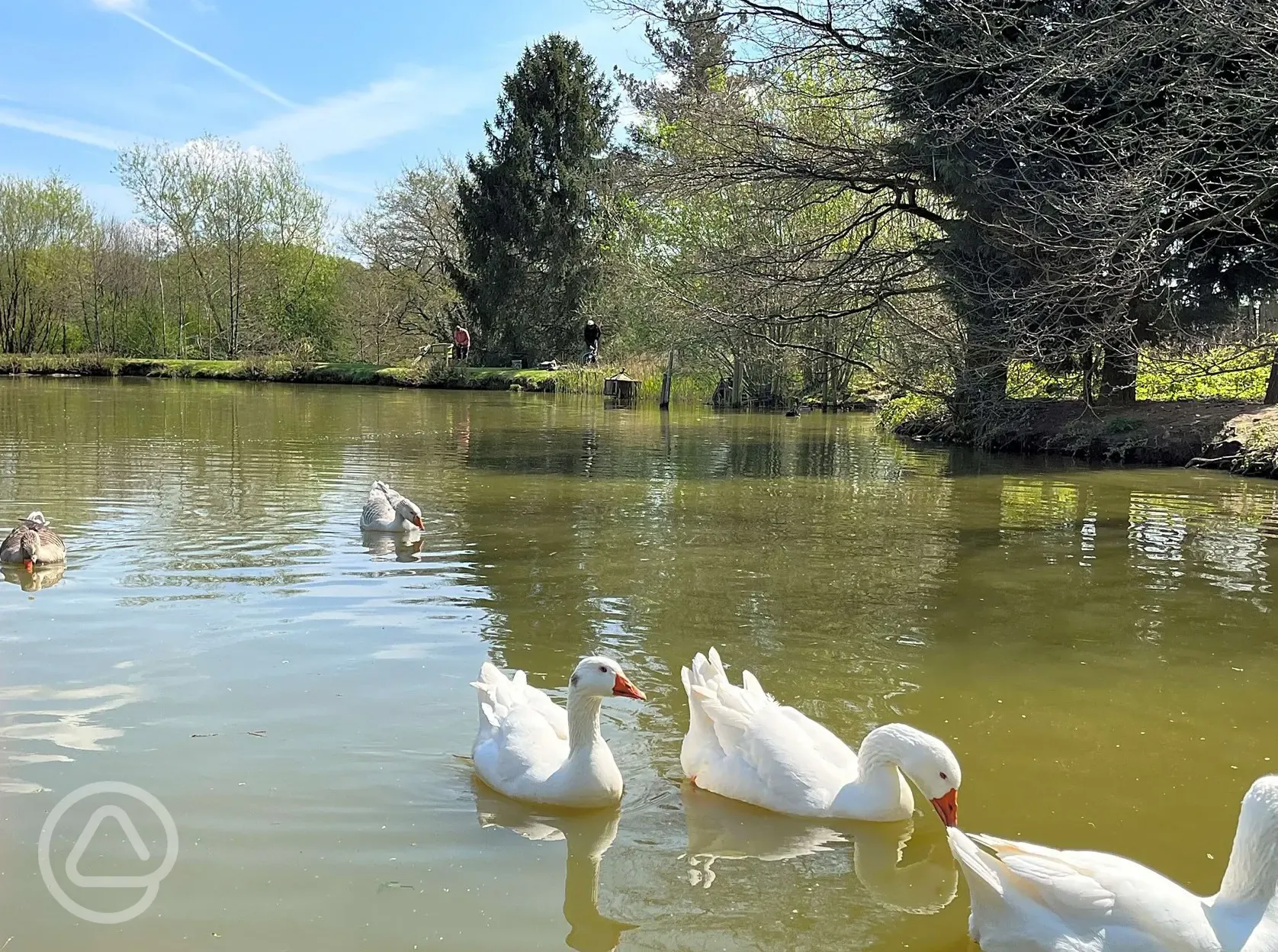 Fishing lake