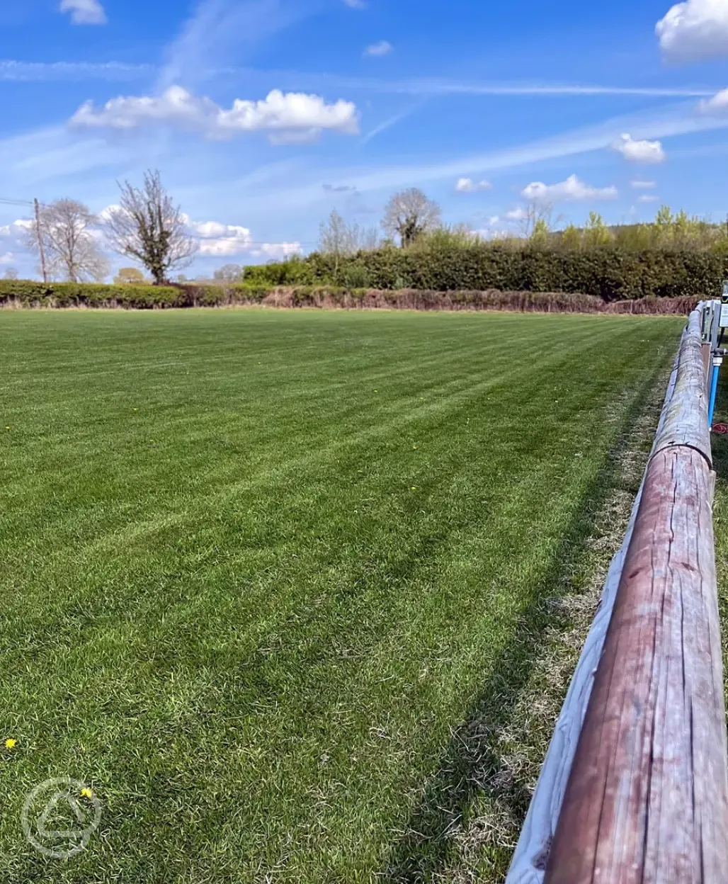 Secure dog exercise field 