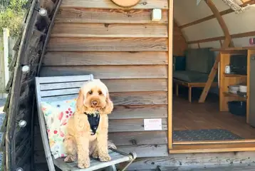 Camping pods (up to two dogs allowed per pod) Camping pods (up to two dogs allowed per pod)