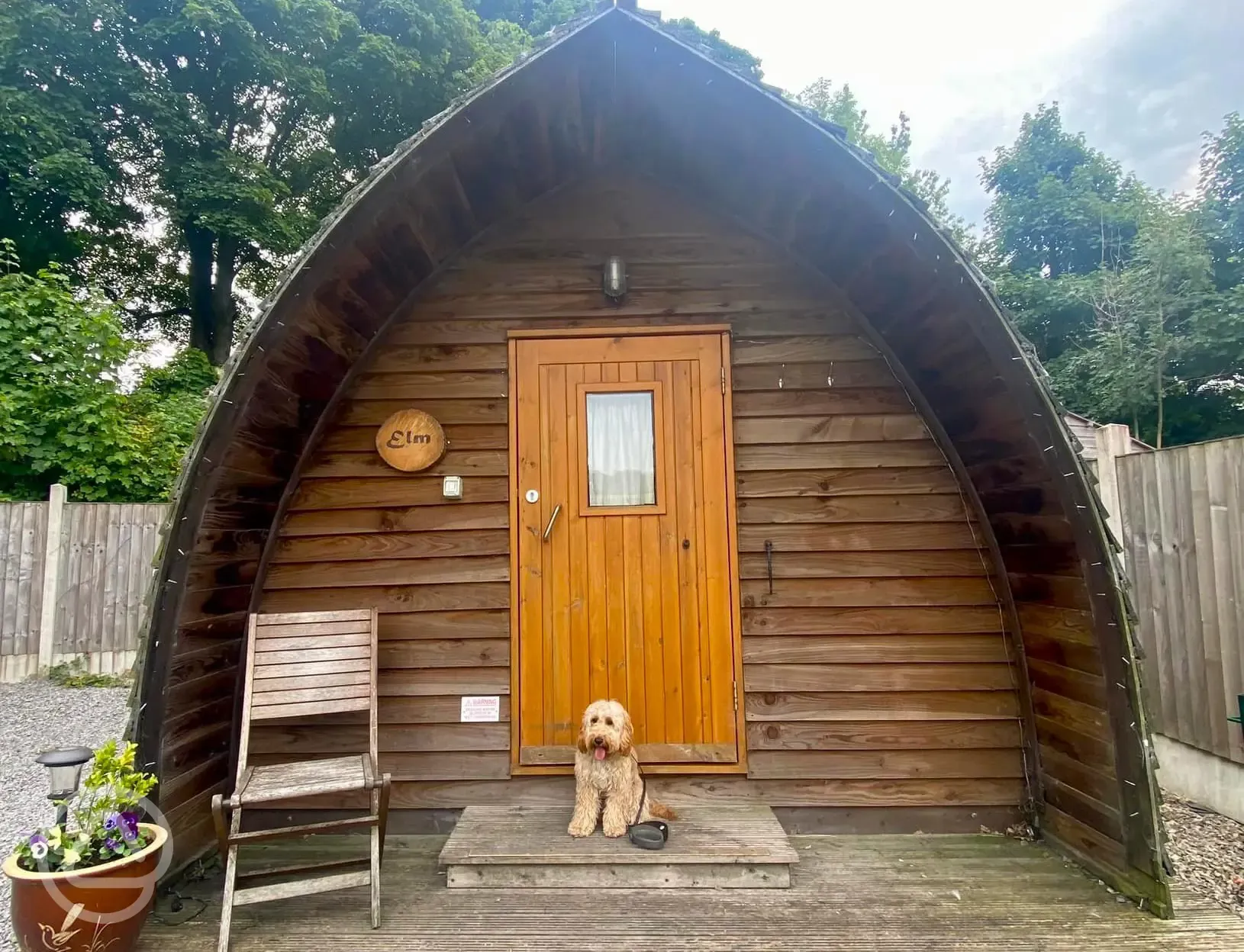 Dog friendly camping pod