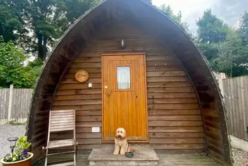 Dog friendly camping pod