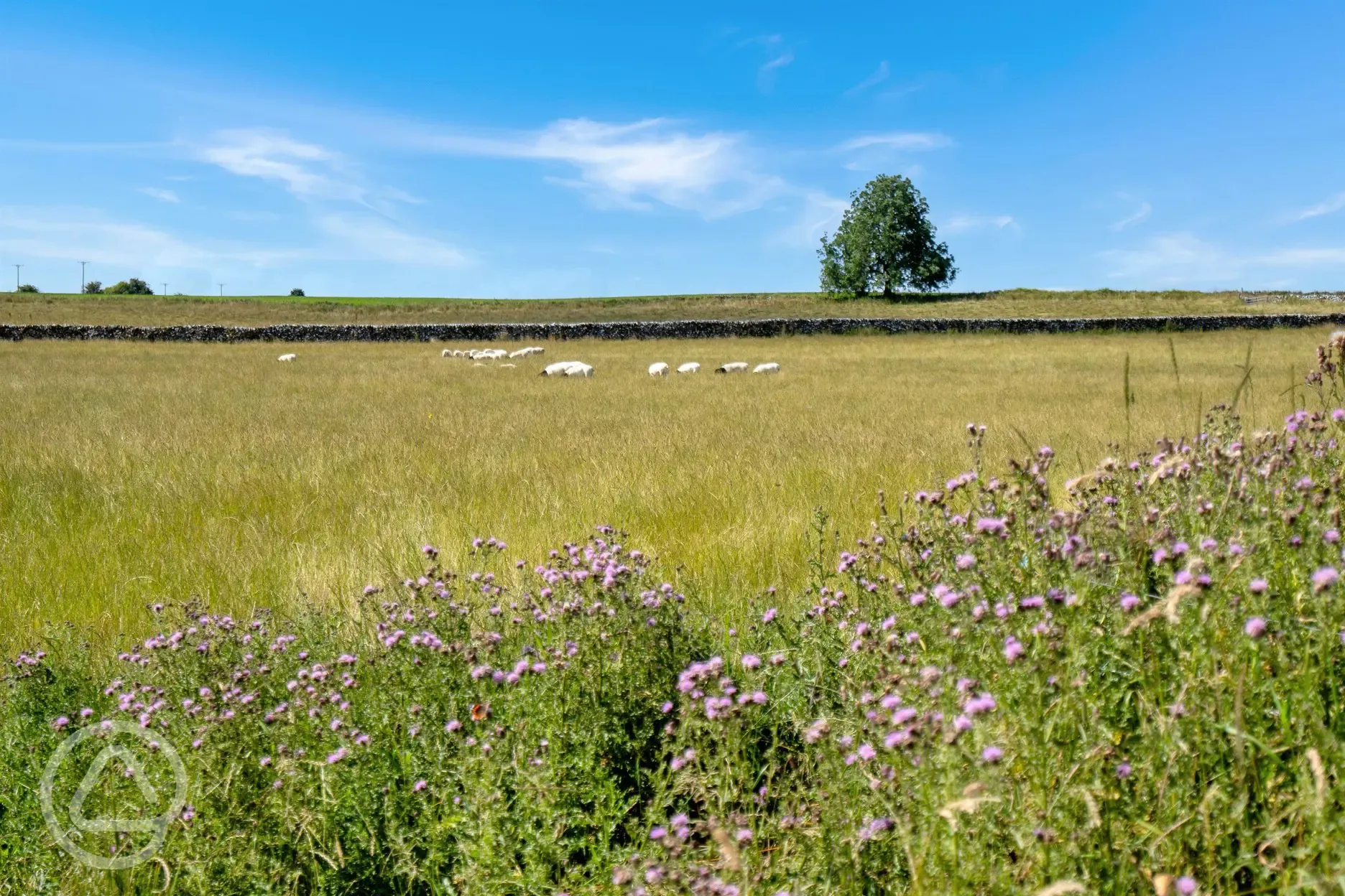 Countryside views from the site