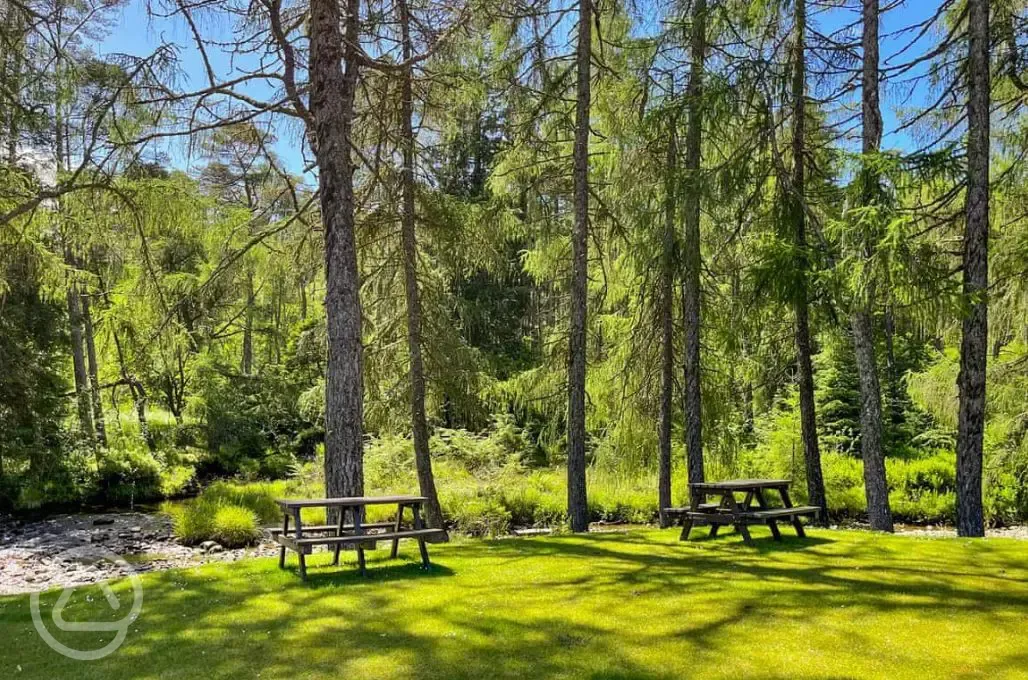 Picnic benches in the woodland