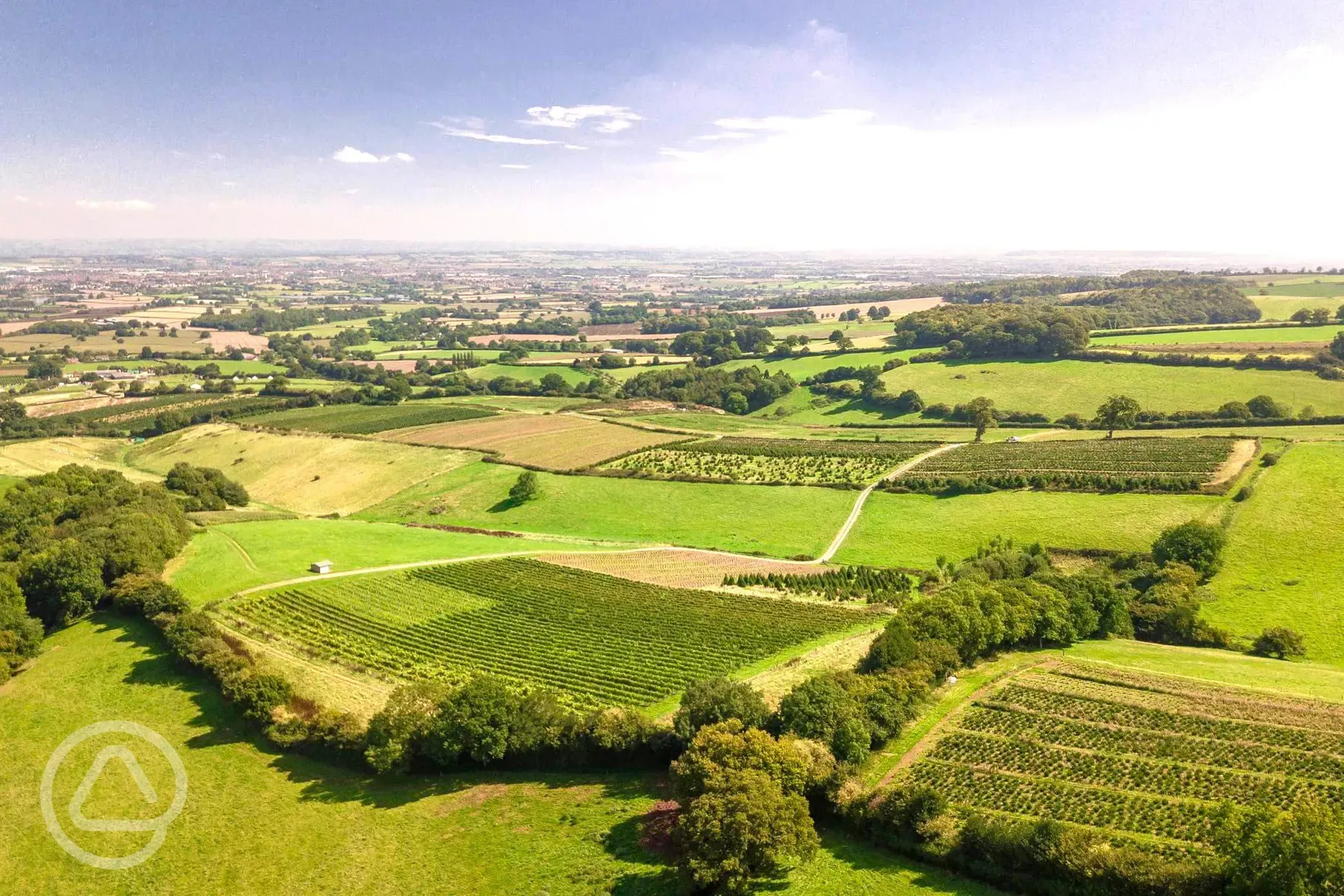 Aerial of the site