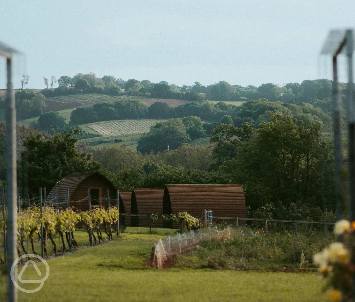 Vineyard Wigwams