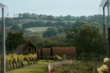 Vineyard Wigwams