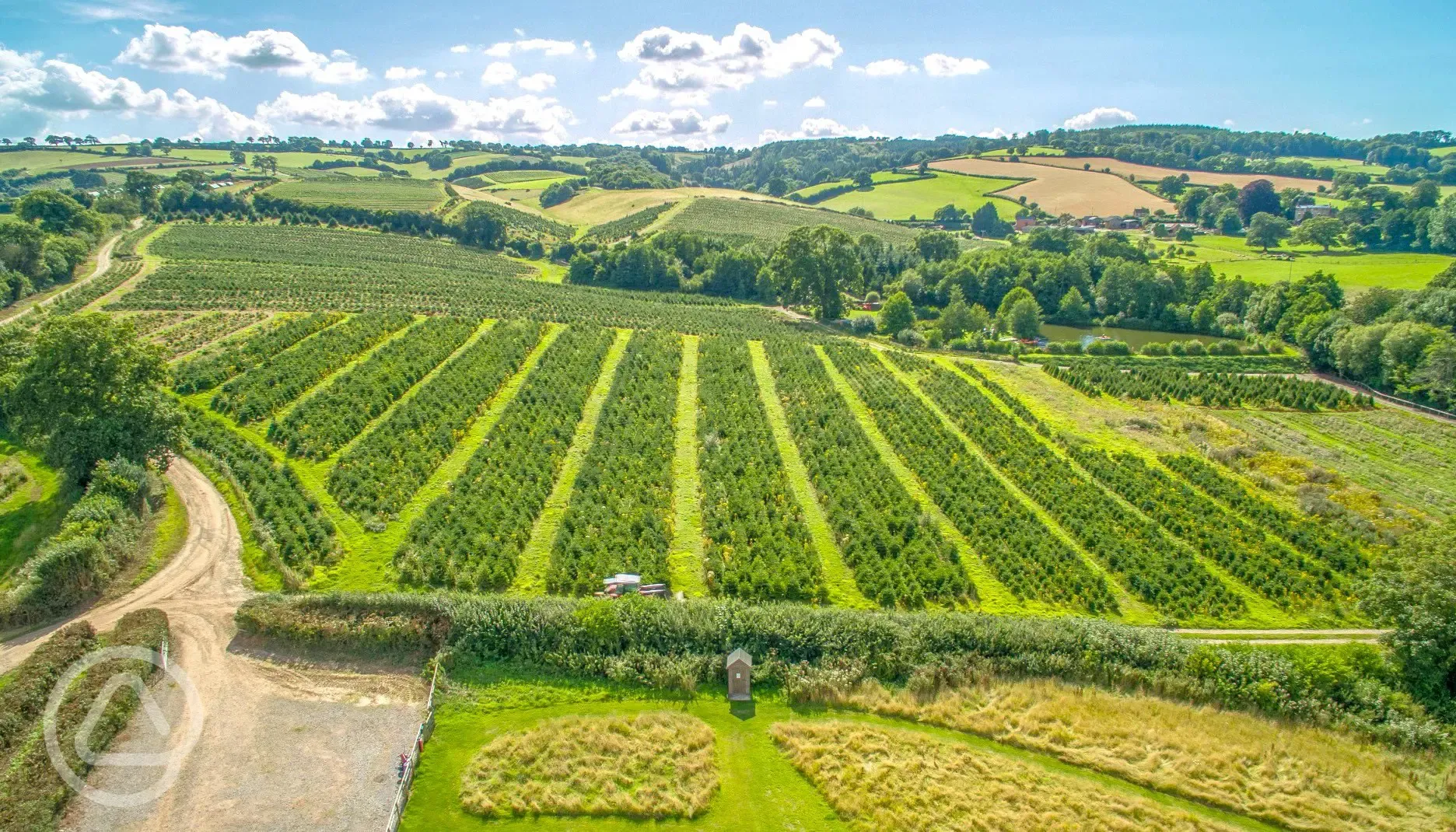 Aerial of the vineyard 