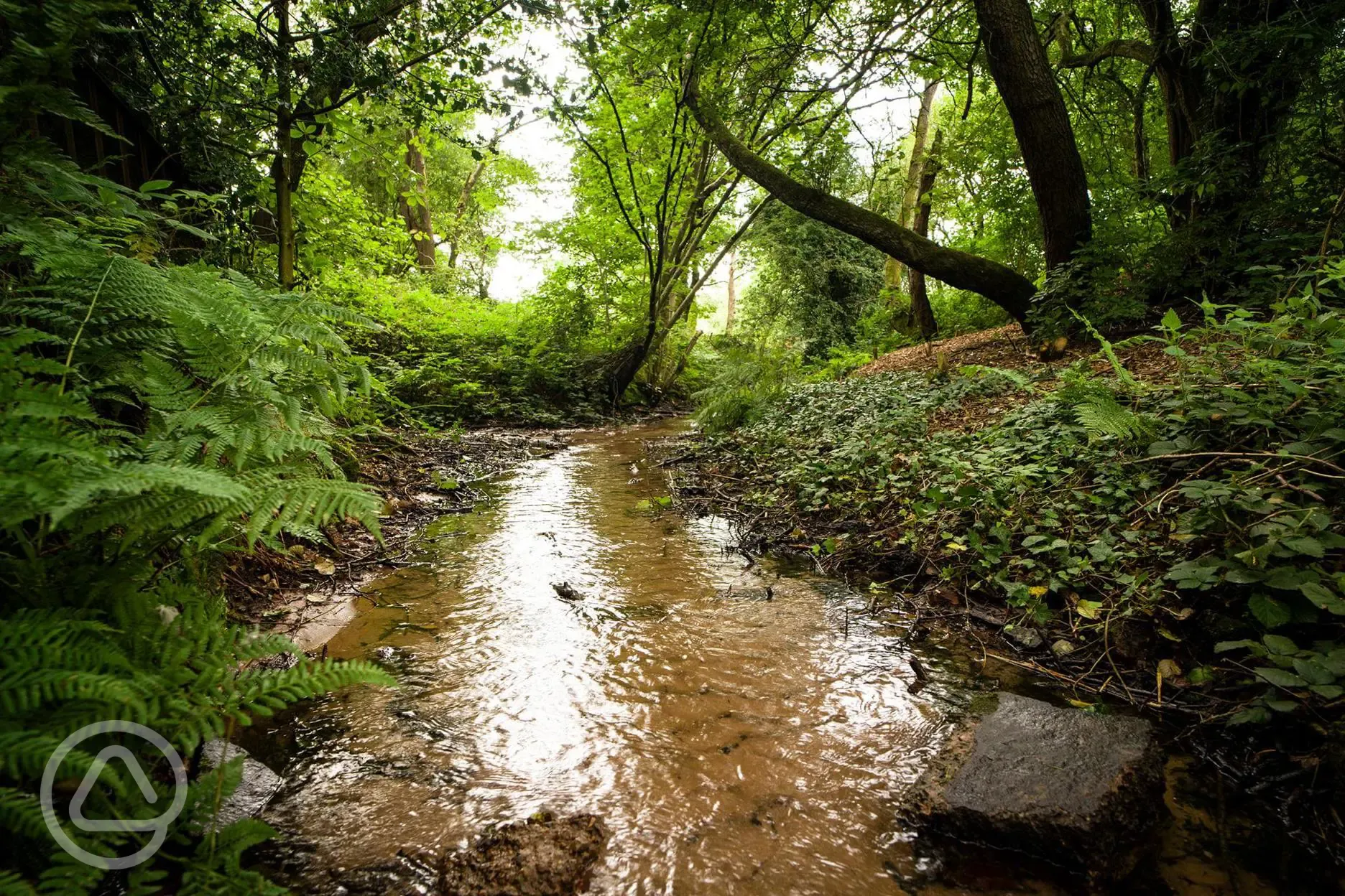 Nearby stream