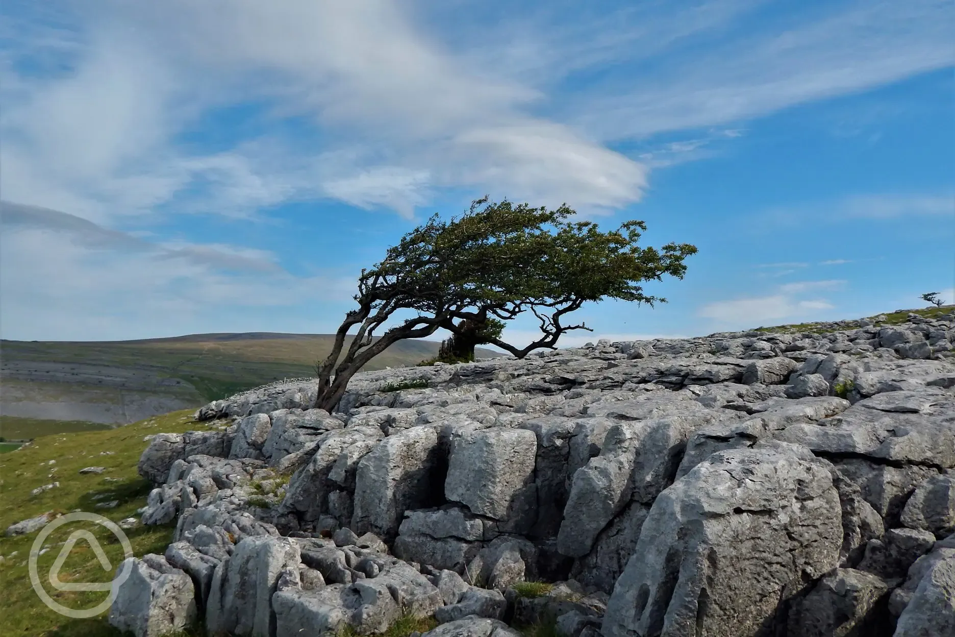 Limestone of Twistleton Scar nearby