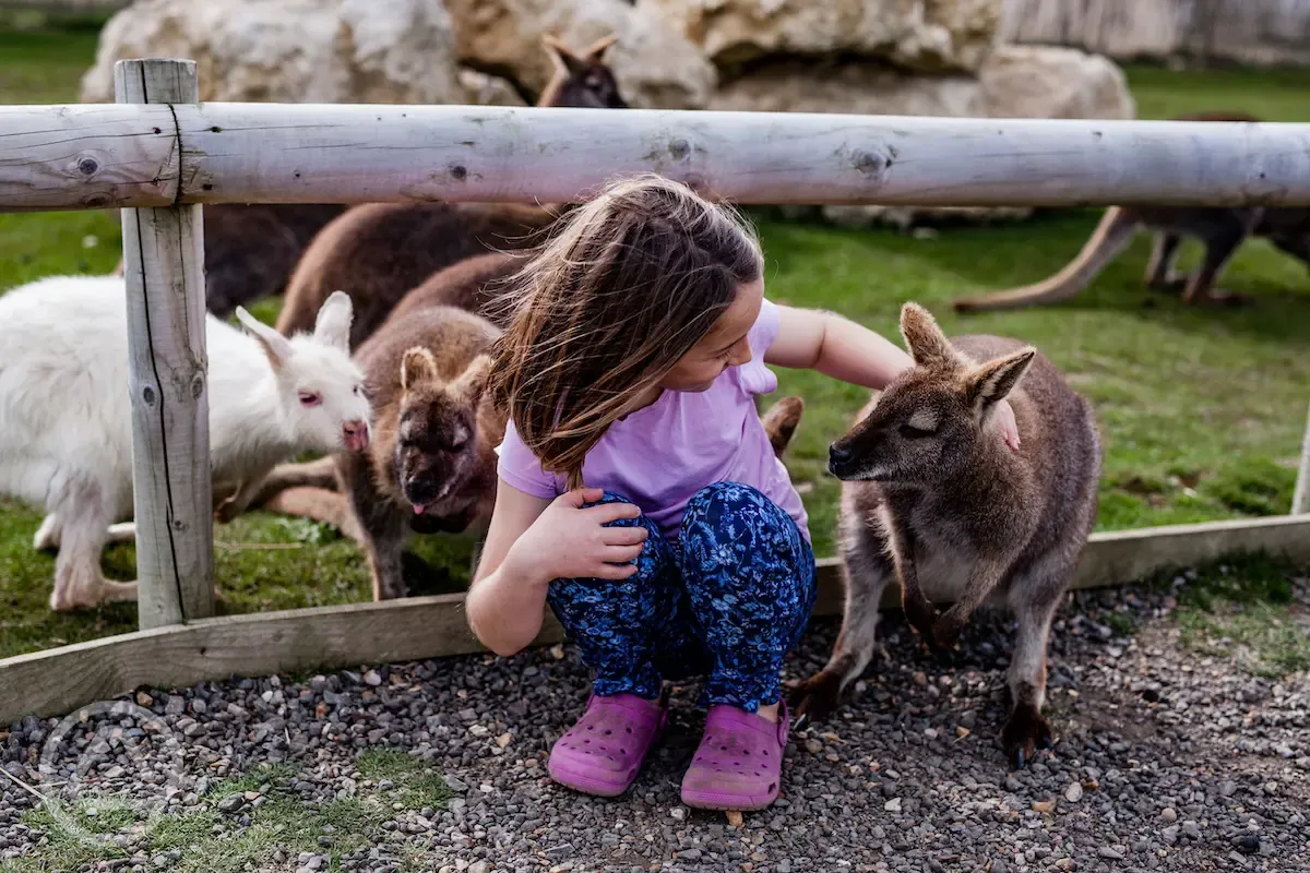 Farm park