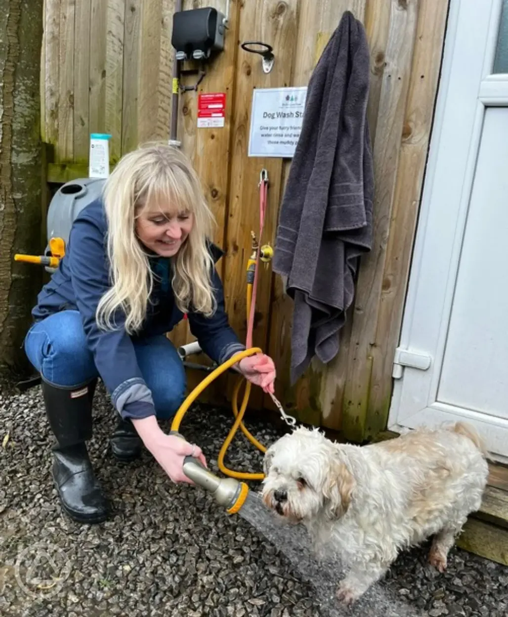 Doggy wash