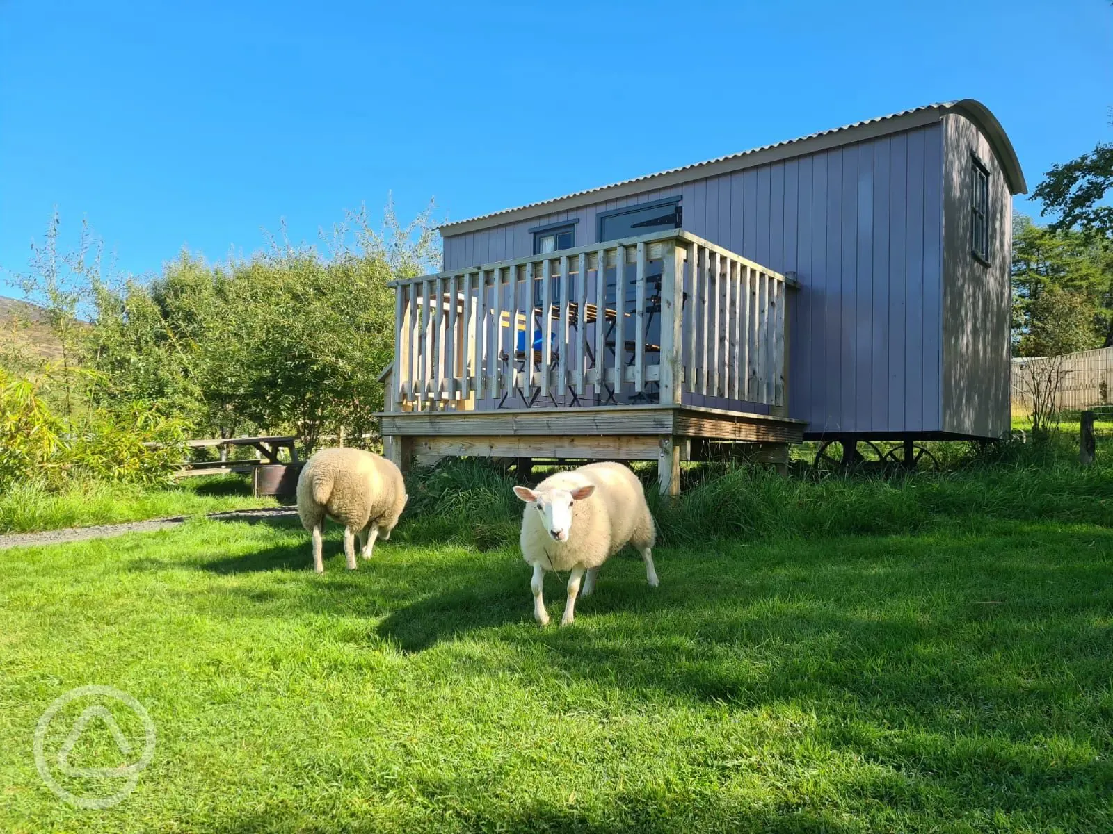 Tummelberry shepherd's hut