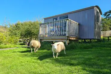 Tummelberry shepherd's hut