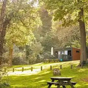 Glamping pod set amongst trees