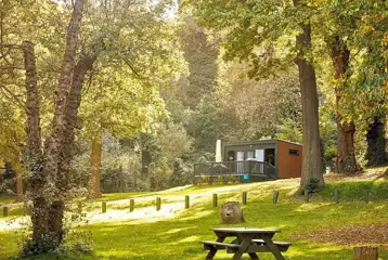 Glamping pod set amongst trees