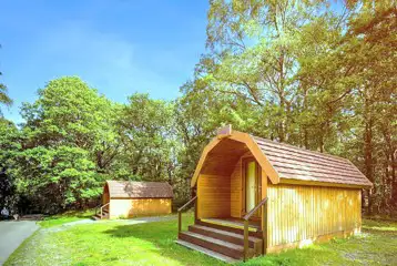 Wooden camping pods backed by trees at Coniston Experience Freedom Glamping