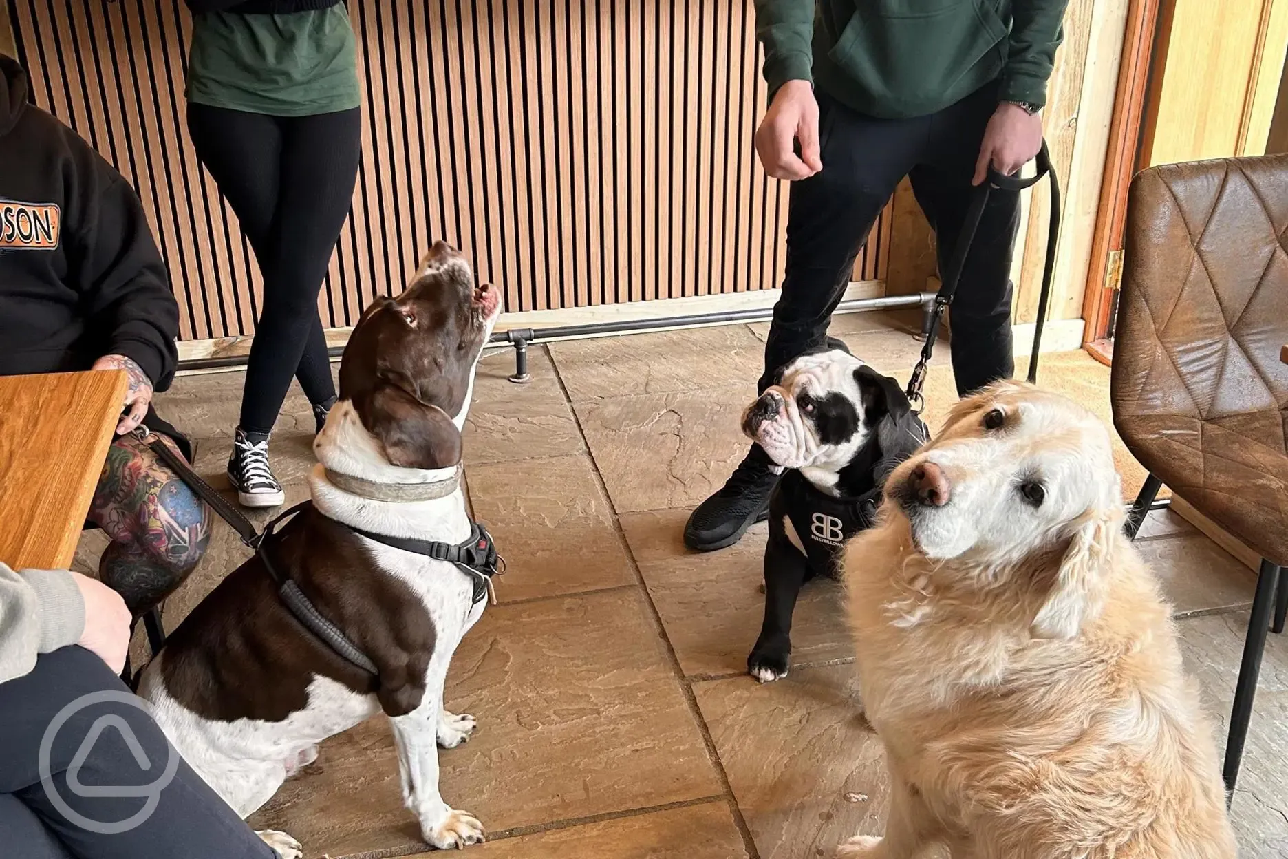 Bens bar - licensed and dog friendly