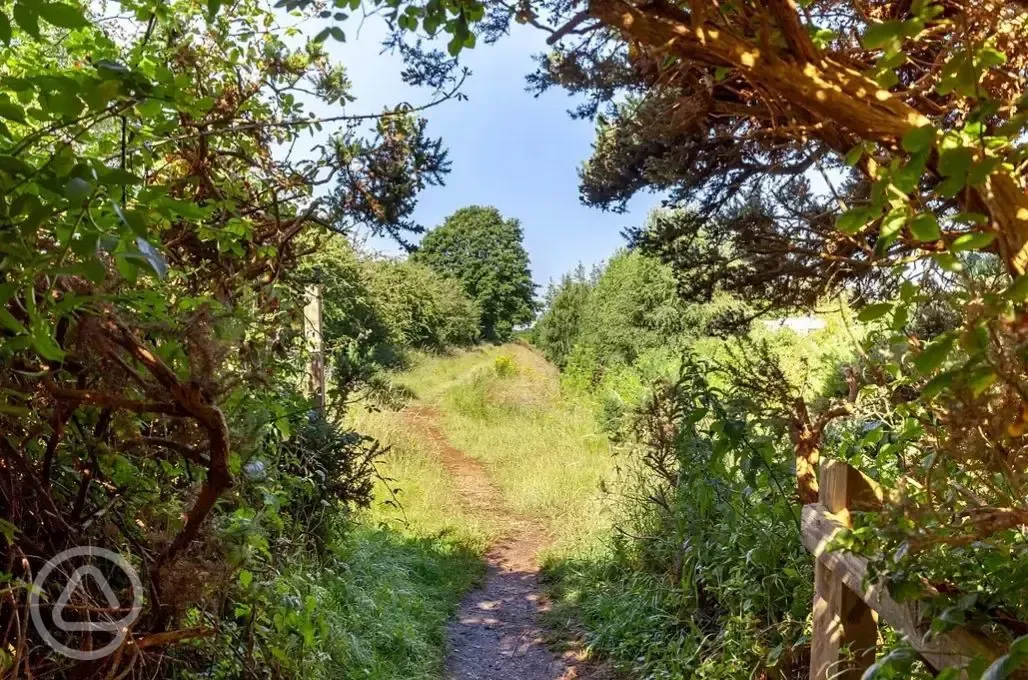 Dog walking area