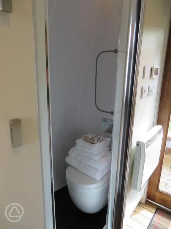 Ensuite toilet